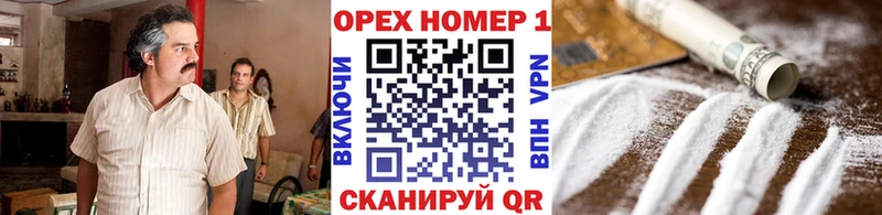 mega как зайти  Новосибирск  COCAIN Fish Scale  наркота 